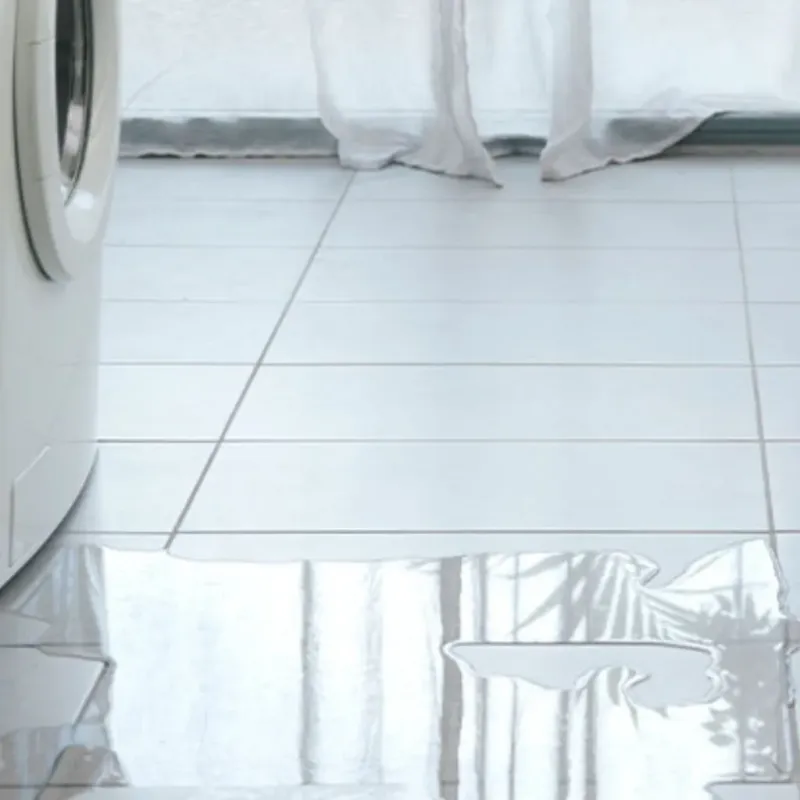 Appliance Leak Cleanup in Lake Wazeecha, WI
