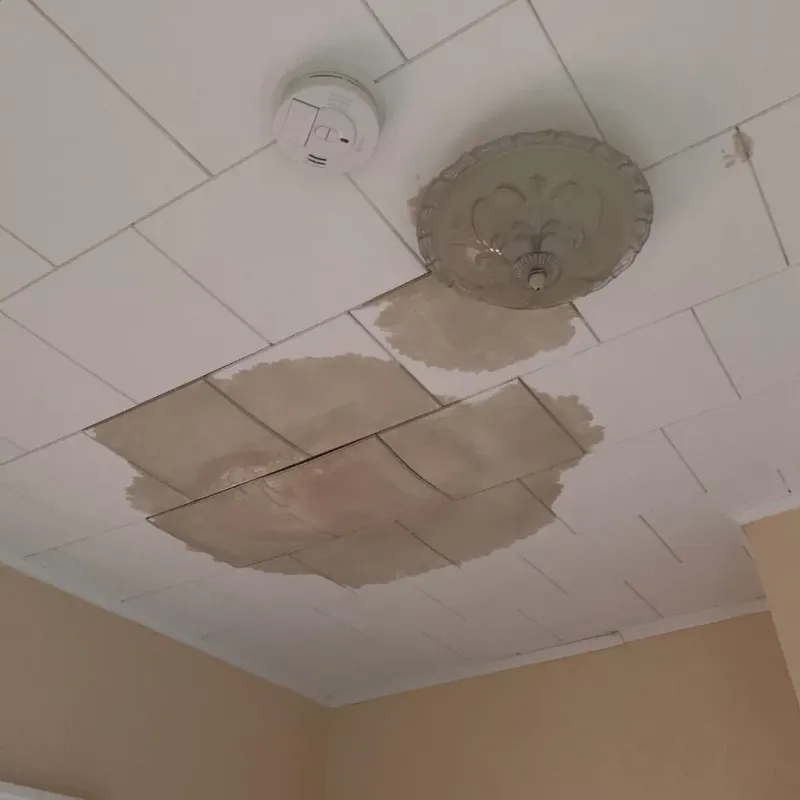 Ceiling Water Damage Repair in Lake Wazeecha, WI