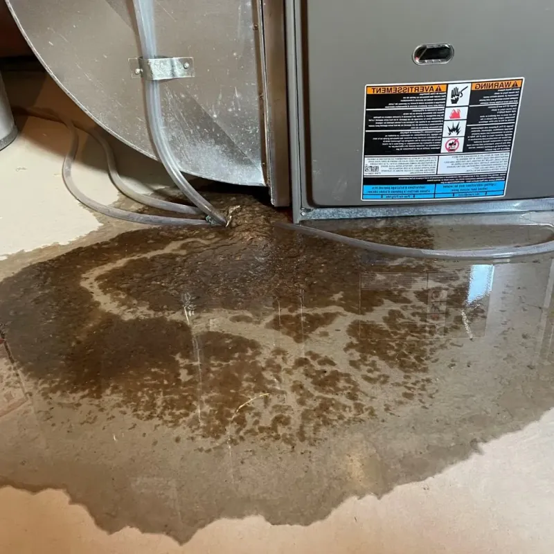 Pipe Burst and Leak Restoration in Lake Wazeecha, WI