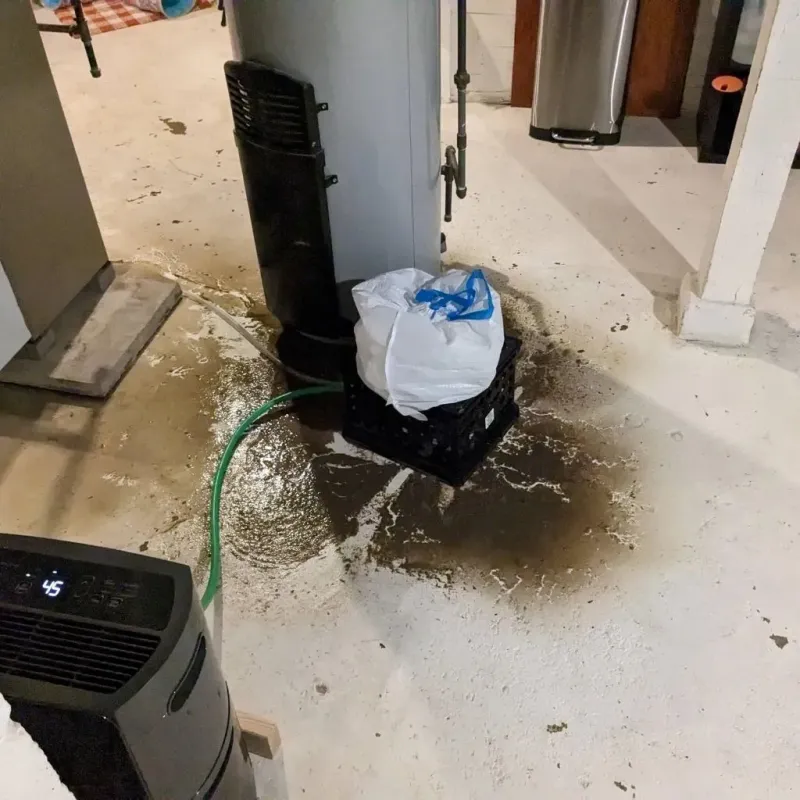 Sewage Backup Cleanup Service in Lake Wazeecha, WI